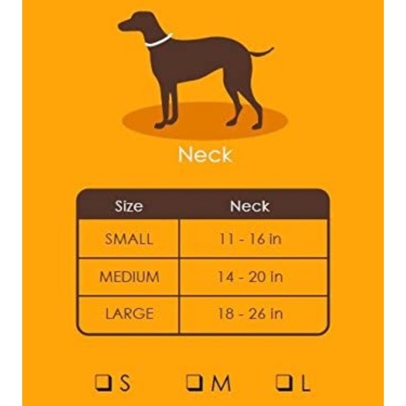 (S) Friends Forever Nylon Dog Collars 4 Pack - Picture 3 of 3